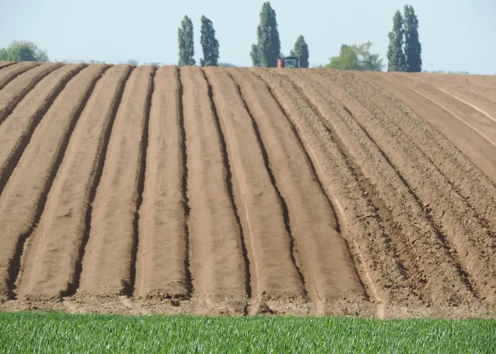 Bed & Breakfast D'hotes De La Bucaille