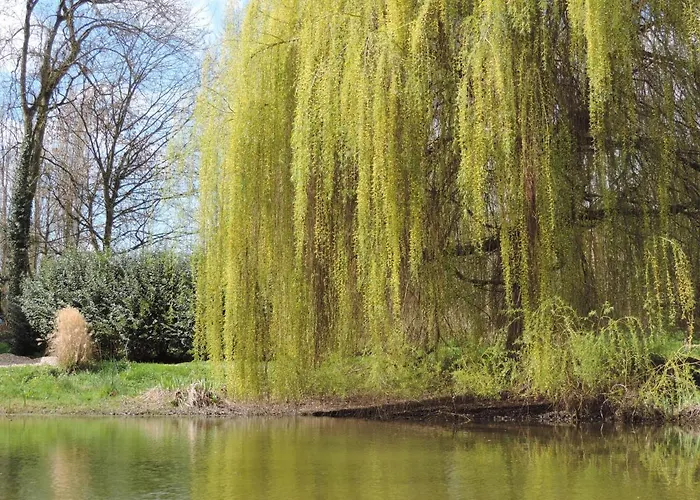 D'hotes De 3* La Bucaille